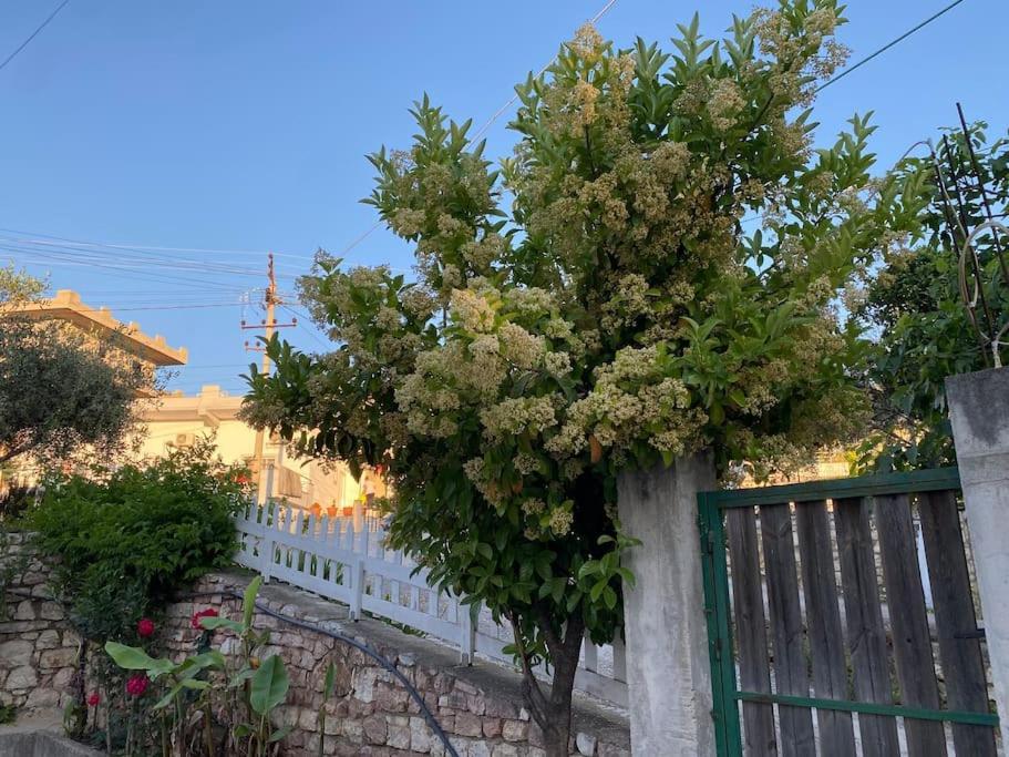 Guesthouse Xhimi Ksamil Buitenkant foto